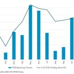 Leveraged Loan Insight & Analysis - 11/11/2024