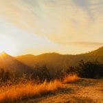 High Five – 2025 Outlook (Last of a Series)