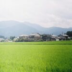 Letter from Tokyo (Last of a Series)