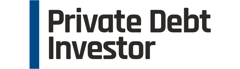 PDI-logo-TL-1 image